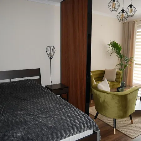 아파트 Zloty W Centrum Miasta 쳉스토호바