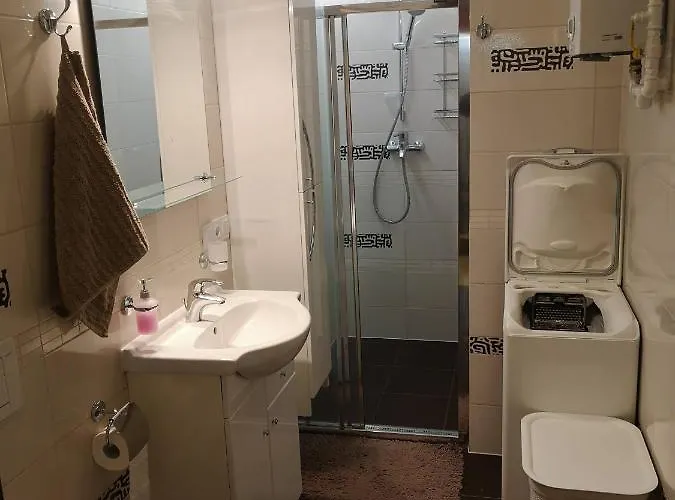 Lägenhet Zloty W Centrum Miasta Częstochowa