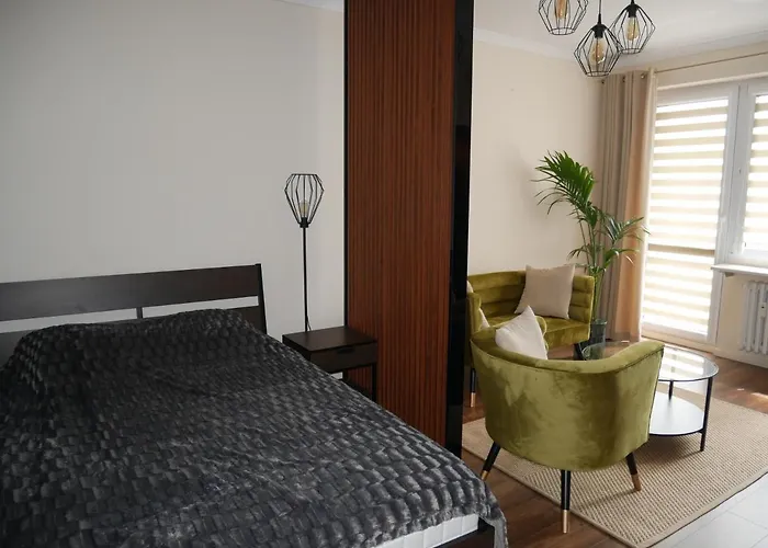 아파트 Zloty W Centrum Miasta 쳉스토호바